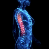 backbone