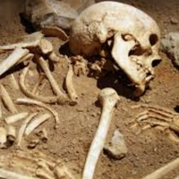 physical decomposition