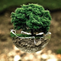 conservation