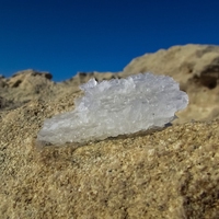 sodium
