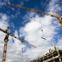 crane