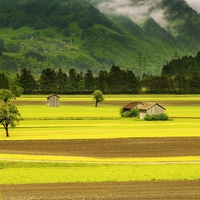 farms