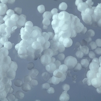 polystyrene