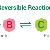 reversible reaction