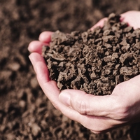 soil texture