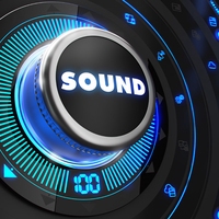 voice box