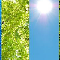 environment