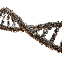 double helix