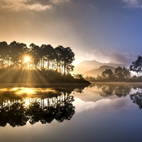 reflection