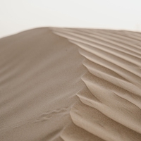 dunes