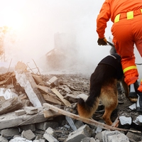 natural disaster