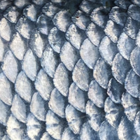 scale
