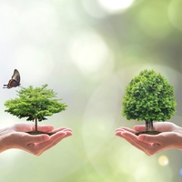 biodiversity