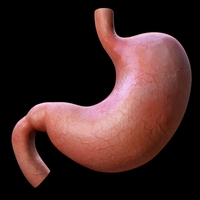 食糜