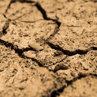 soil degradation