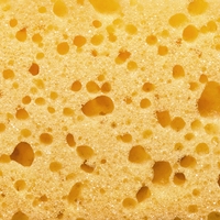 sponge