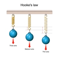 Hooke's Law