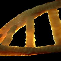 DNA