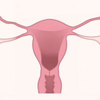 ovary