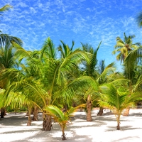 tropical climate