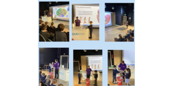 @Egremont Year 3/4 @egremont Year 3