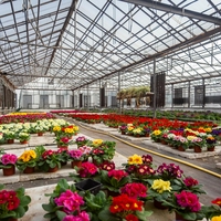 horticulture