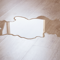 environmental duties