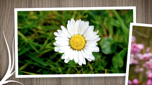 We've just uploaded our new plants song for reception