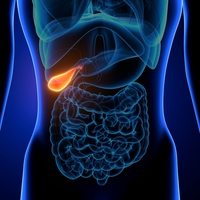 gall bladder