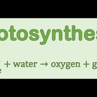photosynthesis