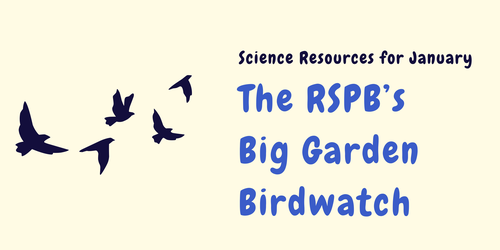 Science in January: The RSPB’s Big Garden Birdwatch