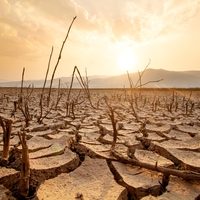 drought