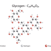 glycogen