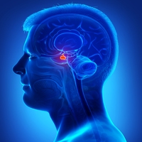 pituitary gland