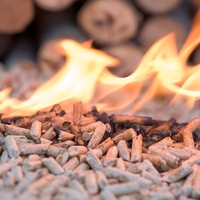 conservation of mass