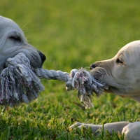 tension