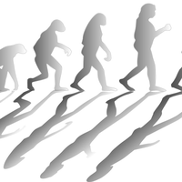 evolve