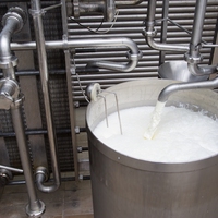 pasteurisation