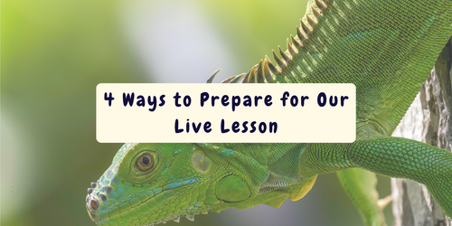 4 Ways to Prepare for Our British Science Week Live Lesson 