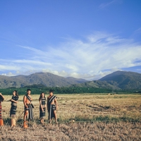 tribe