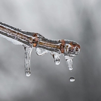 melting