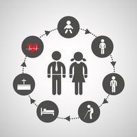 life cycle