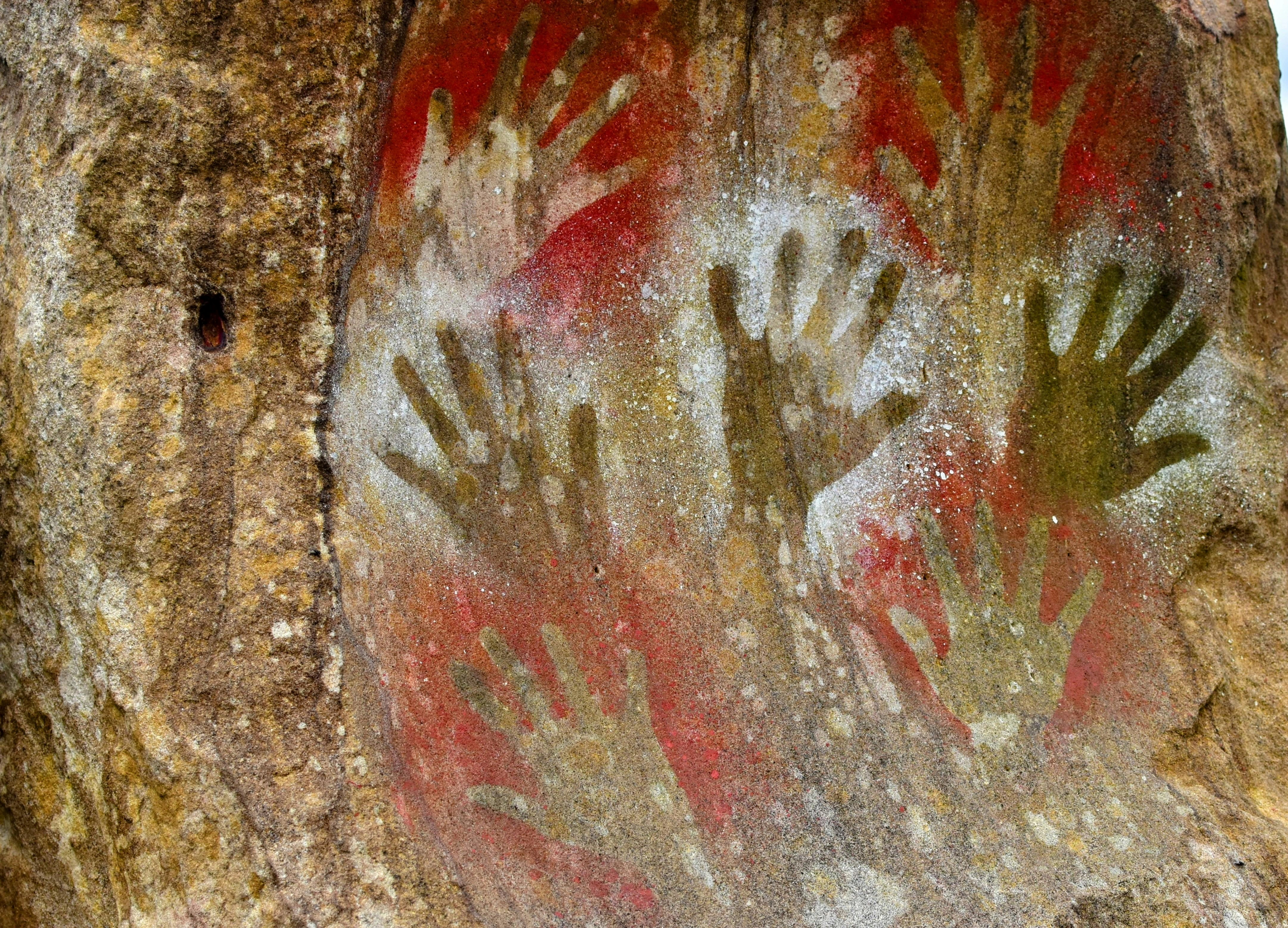 <p>cave art</p>