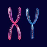chromosome