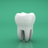 molars