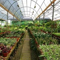 nursery