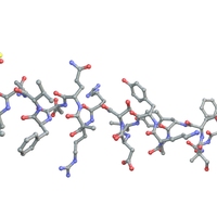 glucagon