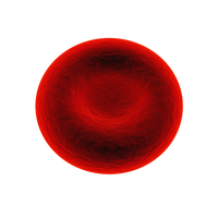 red blood cell