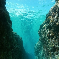 海沟