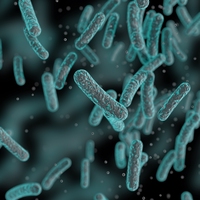microorganism
